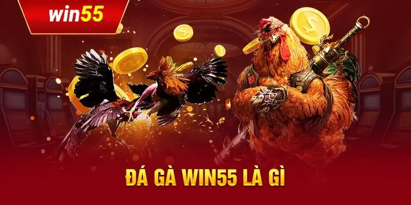 Nhiều ưu đãi tại sảnh đá gà Win55