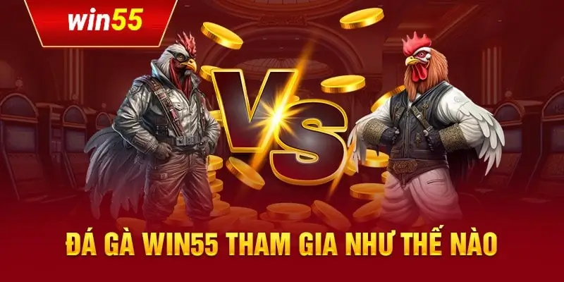 Hướng dẫn tham gia cá cược đá gà tại Win55