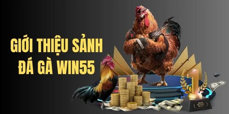 Giới thiệu sơ lược về đá gà trực tuyến tại nhà cái Win55